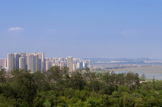 泉州城东风景