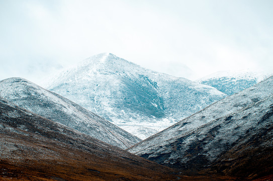 下雪的甘南草原雪山