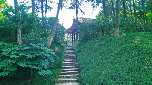 山林