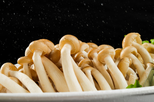 火锅涮品系列蟹味菇