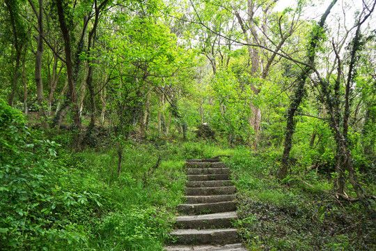 山间小路