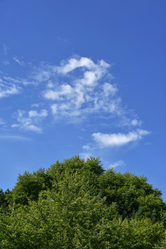 蓝天白云青山绿树