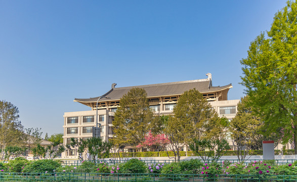 牡丹花丛中的北京大学图书馆