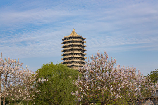 青桐花上的北京大学博雅塔