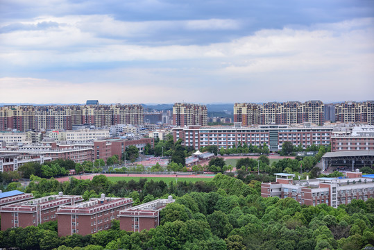 东辰学校