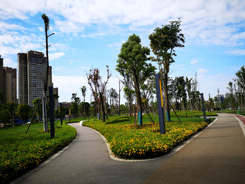 城市公园