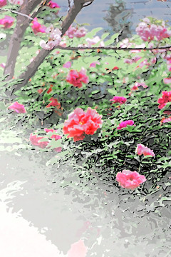 抽象牡丹花