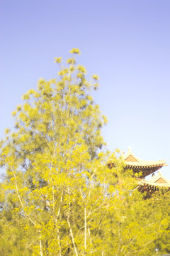 山西太山景区