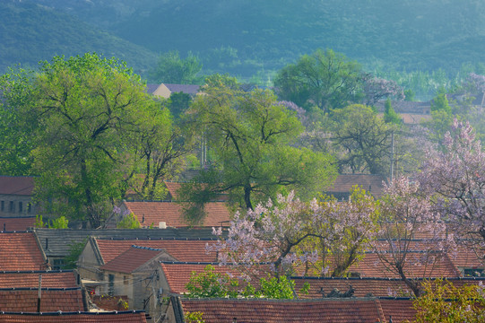 绿色乡村