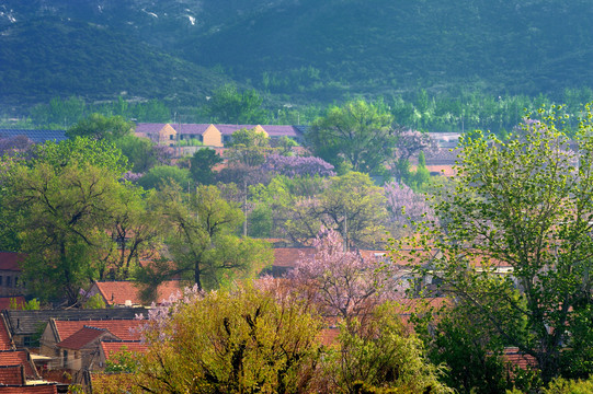 乡村风光