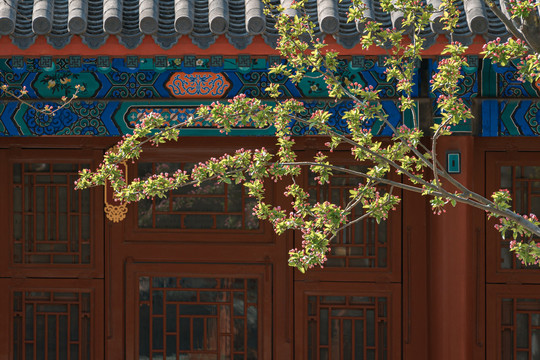 北京天坛公园斋宫建筑和春天鲜花