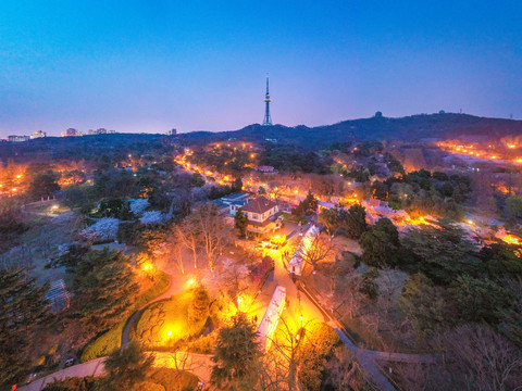 青岛中山公园夜景