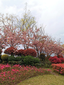 成都天府芙蓉园