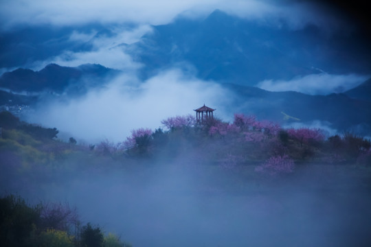 云舟家庭农场长川歙县安徽