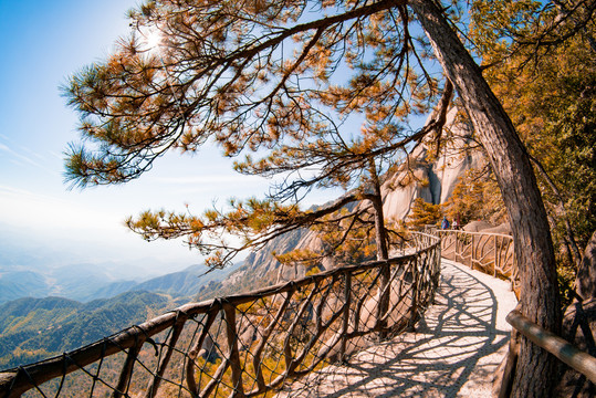 登山