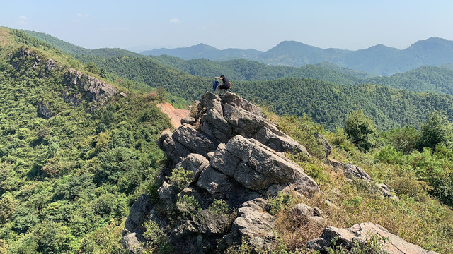 森林山顶俯瞰