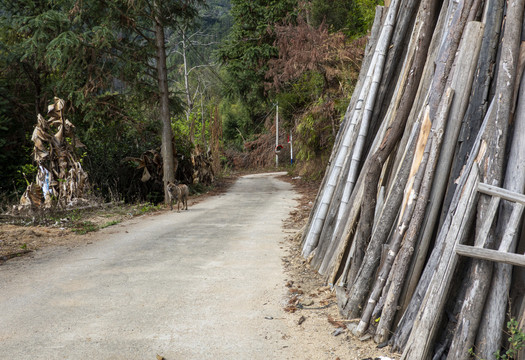 农村道路