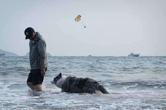 男人牵着狗在海水中散步