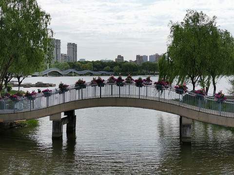 公园景观花桥