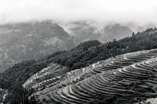 水墨梯田