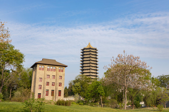 北京大学的方楼博雅塔与青桐树