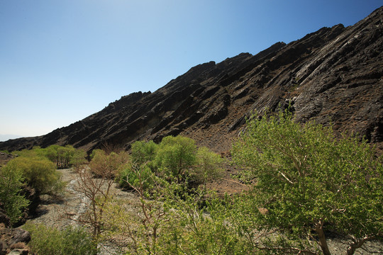 苏拉夏河谷