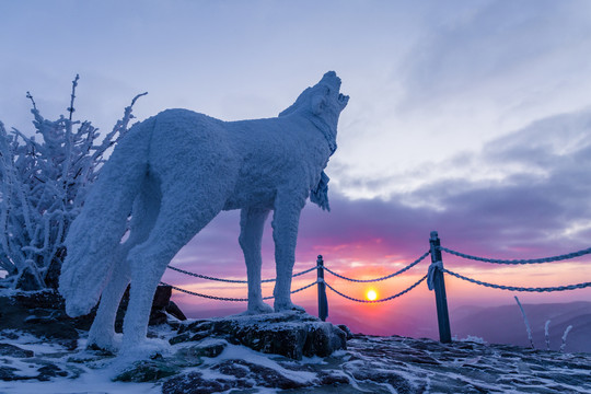 冬季清晨日出狼雕塑