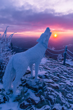 白狼雕塑冬季日出