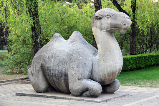 北京昌平明十三陵神道石像生骆驼