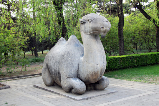 北京昌平明十三陵神道石像生骆驼