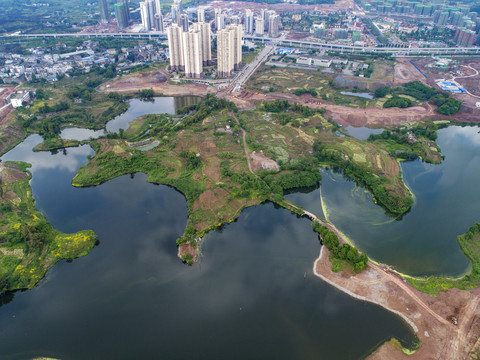 江津团结湖湿地公园