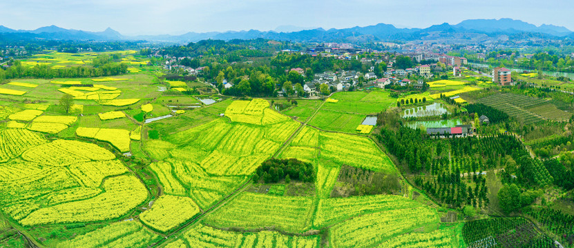 田园风光