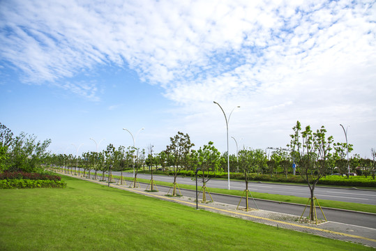 城市道路绿化