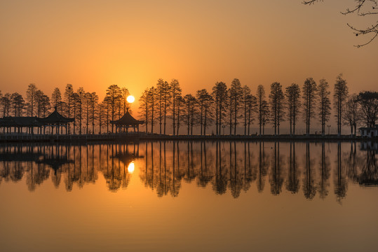 中国湖北武汉东湖碧潭观鱼风景区