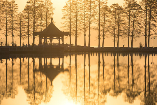 中国湖北武汉东湖碧潭观鱼风景区