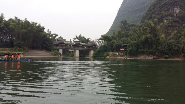 桂林山水植物