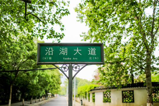 沿湖大道