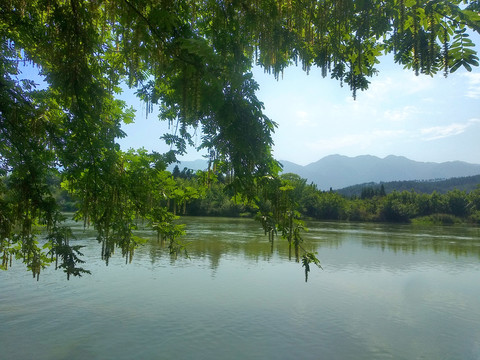 乡村河畔美景