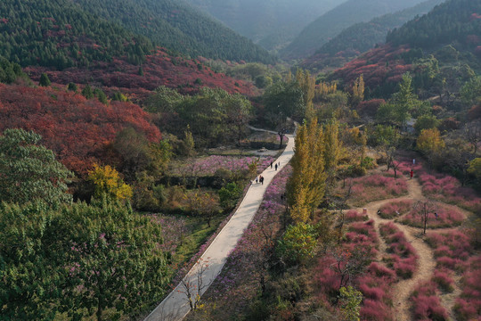 森林山谷公园官护山