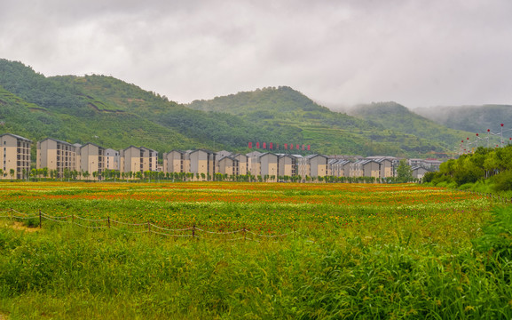 南泥湾风光