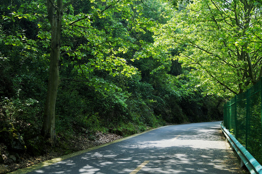 贵阳小车河湿地公园