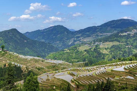 贵州加榜梯田