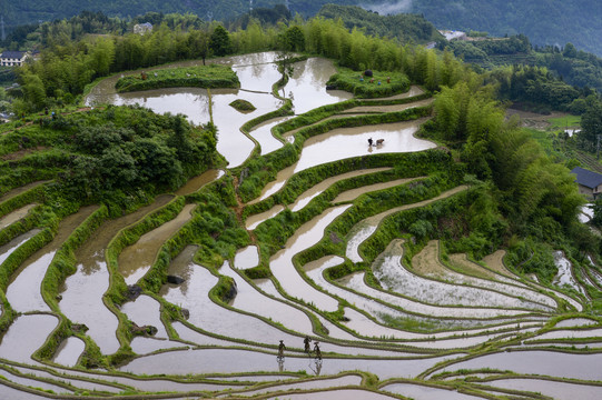 浙江丽水云和梯田