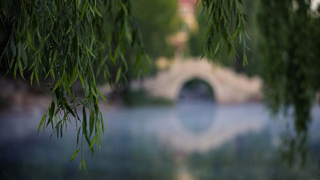 清华大学近春园荷花池晨雾中的小