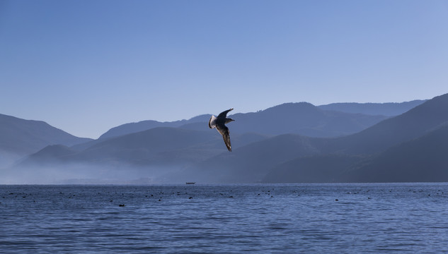 水墨泸沽湖