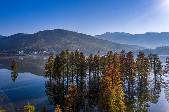 秋天的湖光山色摄影图