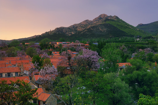 山村