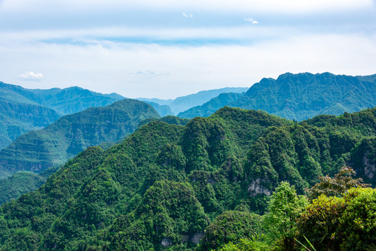 青山