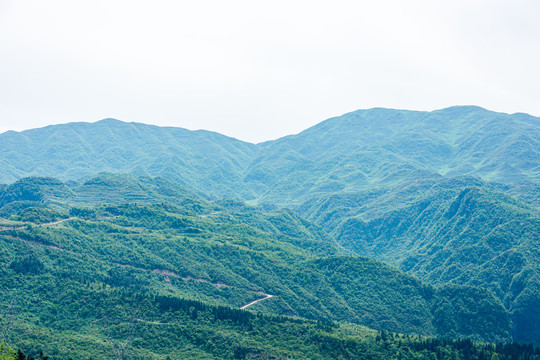 青山