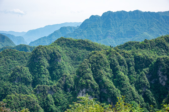 青山